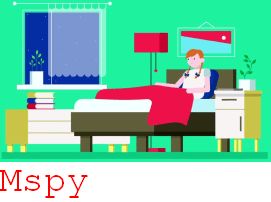 Mspy Install